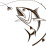 Fishing Zone