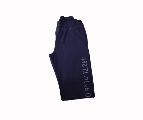 Coordinates Graphic Jogger Pants