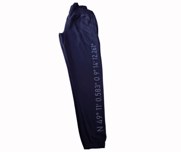 Coordinates Graphic Jogger Pants