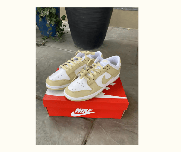 Nike Dunk Low Beige & White Sneakers