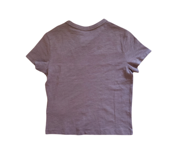 C:\Users\Mostafa\Desktop\Wickie Kids' Striped T-Shirt - PurpleGrey with Chest Stripe, Size for 5 Years