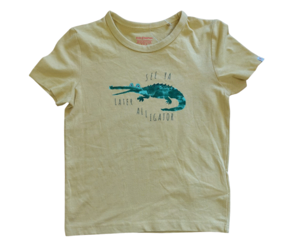 Kids Nation Multi-Color Striped T-Shirt - Vibrant & Comfortable, Size for 4 Years